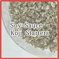 Soy Sauce Koji Starters