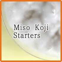 Miso Koji Starters