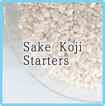 Sake Koji Starters