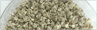 Soy Sauce Koji Starters