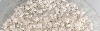 Sake Koji Starters