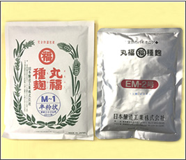 味噌用種麹